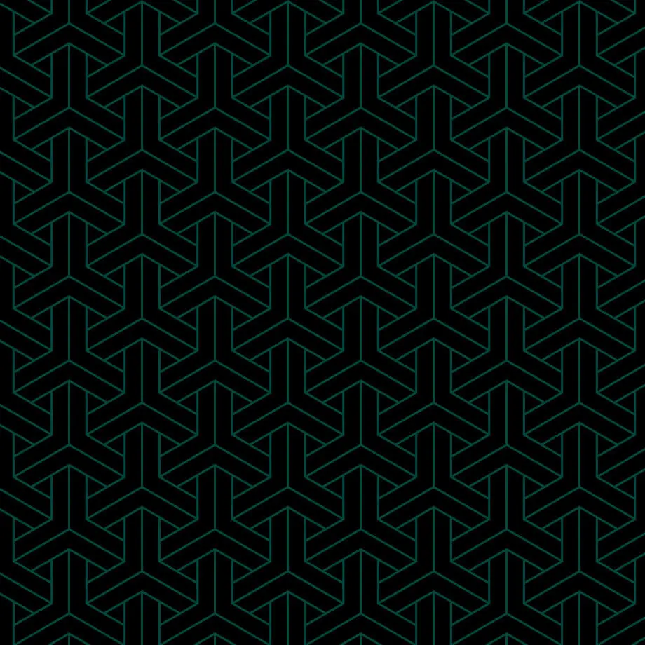 5c62ca5e3b63655b0aaec94e