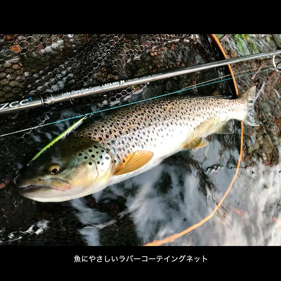 6154c82dacbcb04495036e06