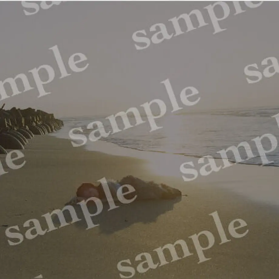 6279cff4b049a312e1dfd6b5