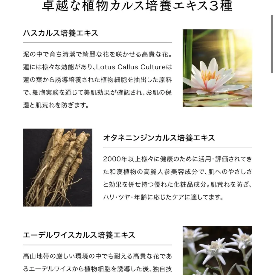 61f96ed6fd2e7342d158834b