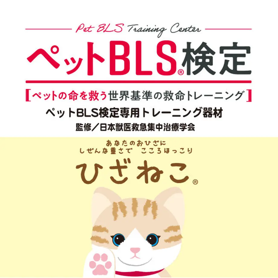 62f9c481a7e56010721eaf5f