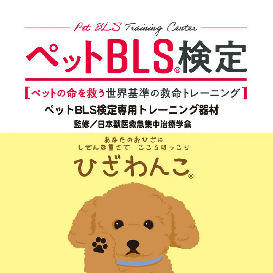 62f9c5482fc8813b48781268