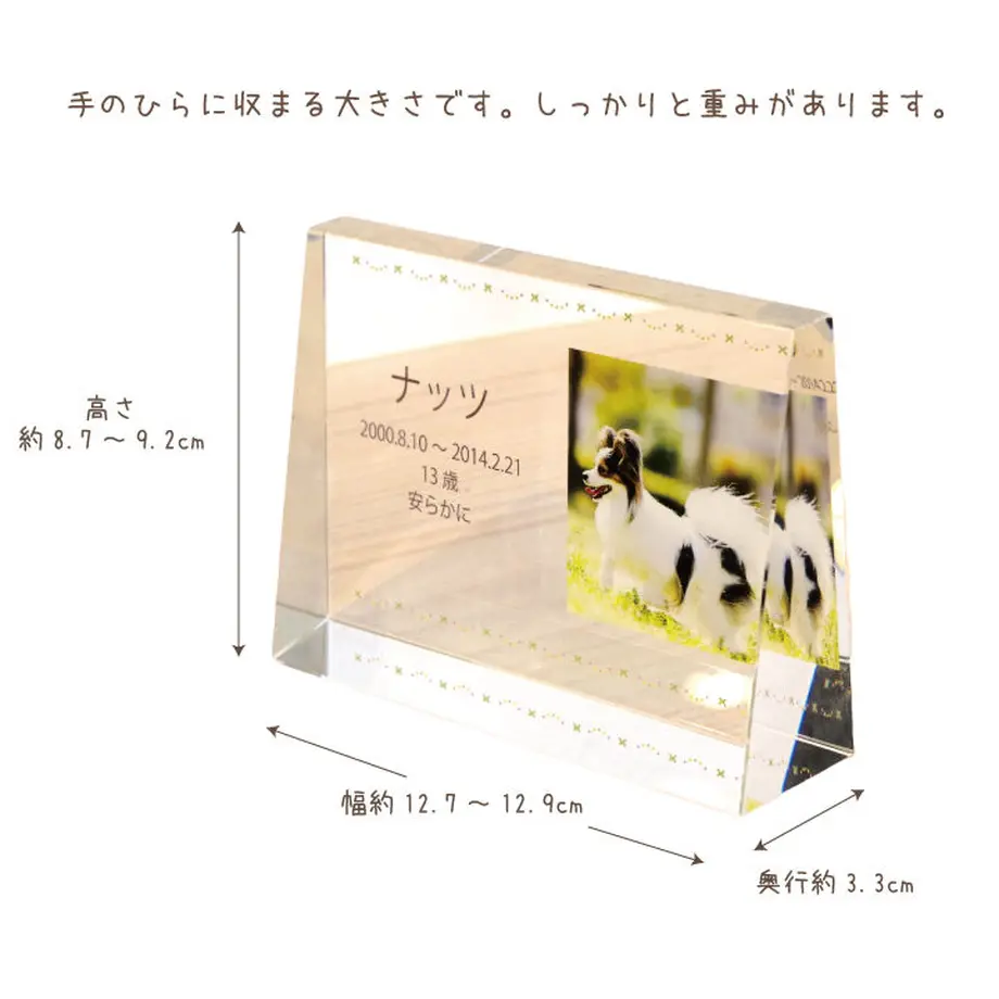 5e7350622a9a421759e0feb2