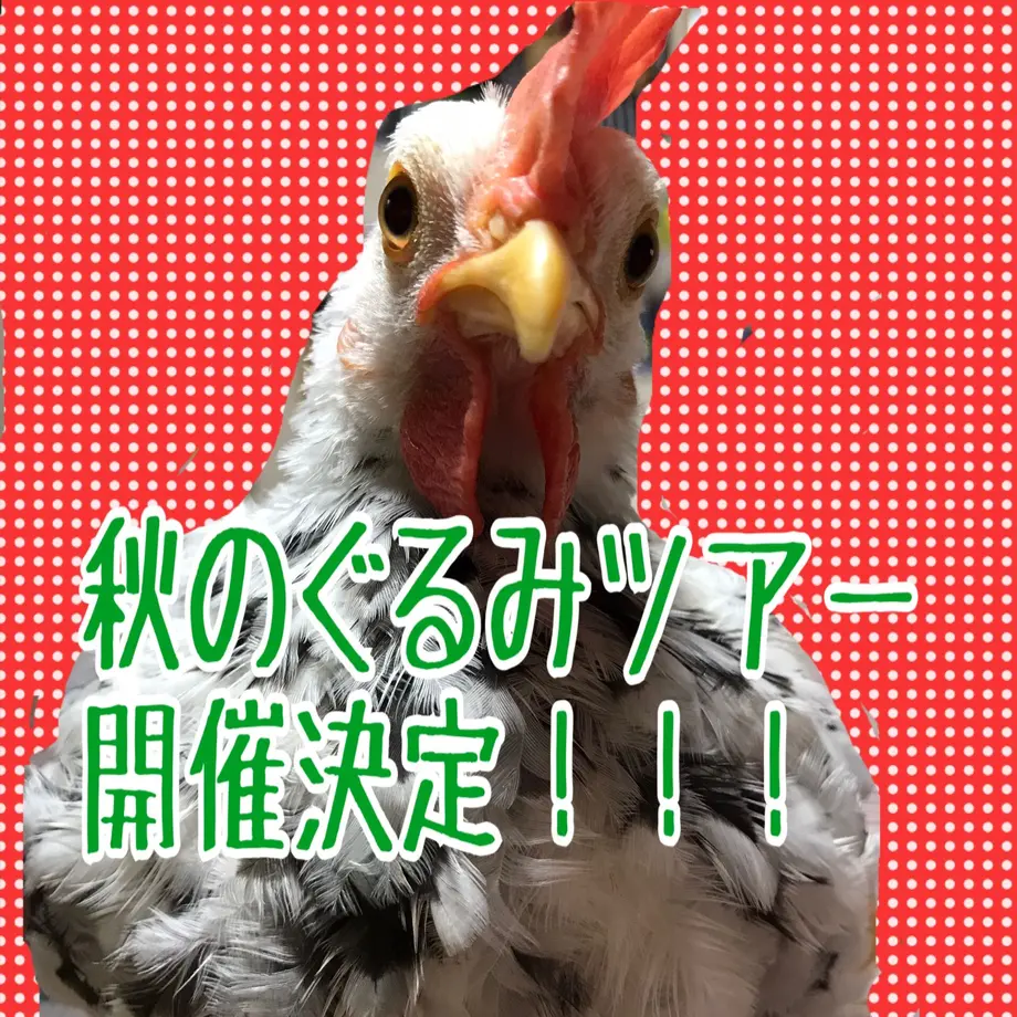 5f5a0914f9c5904957410b36