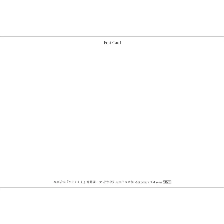 604c8b3ac19c45367e056e44