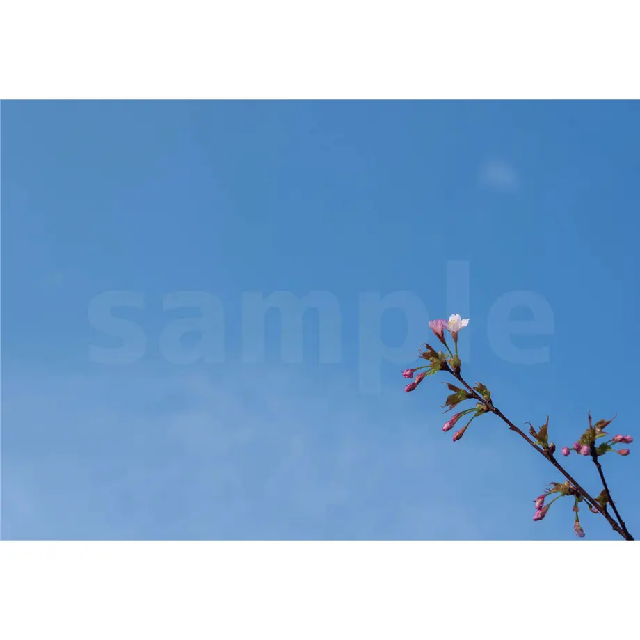 604c8bb5c19c450f730577f3