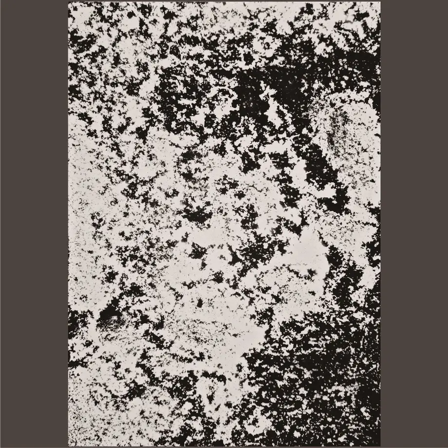 59204b153210d54d1f011d90