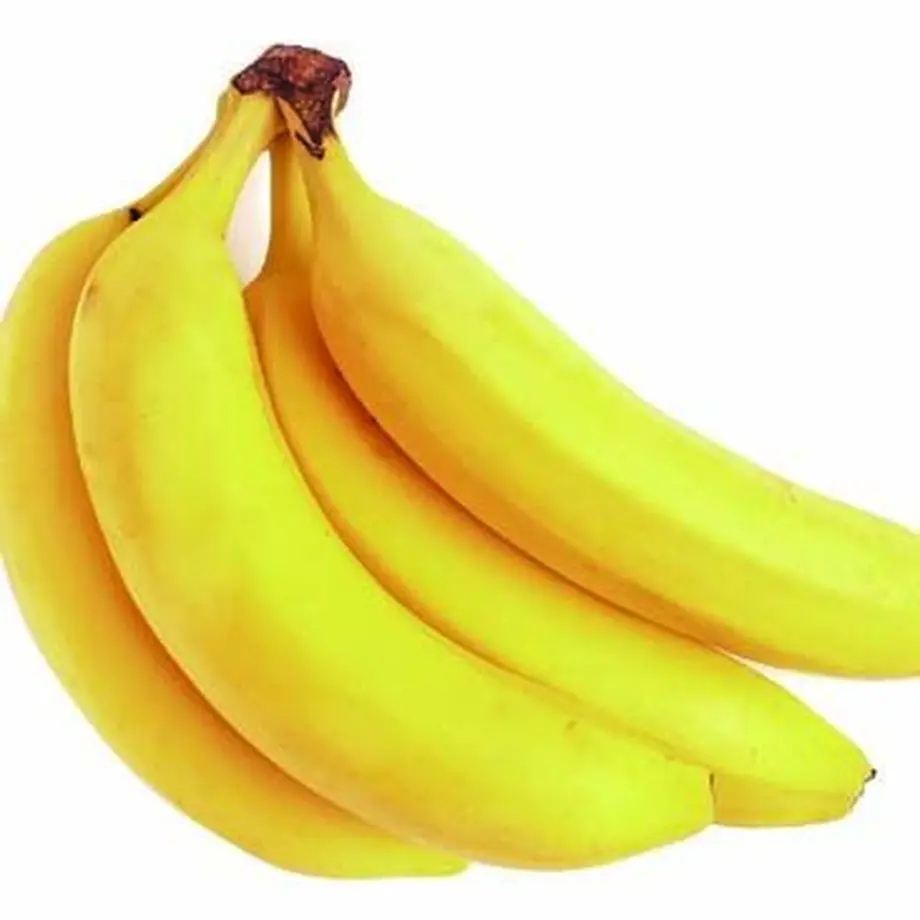 5fc8884b72eb46325a324030