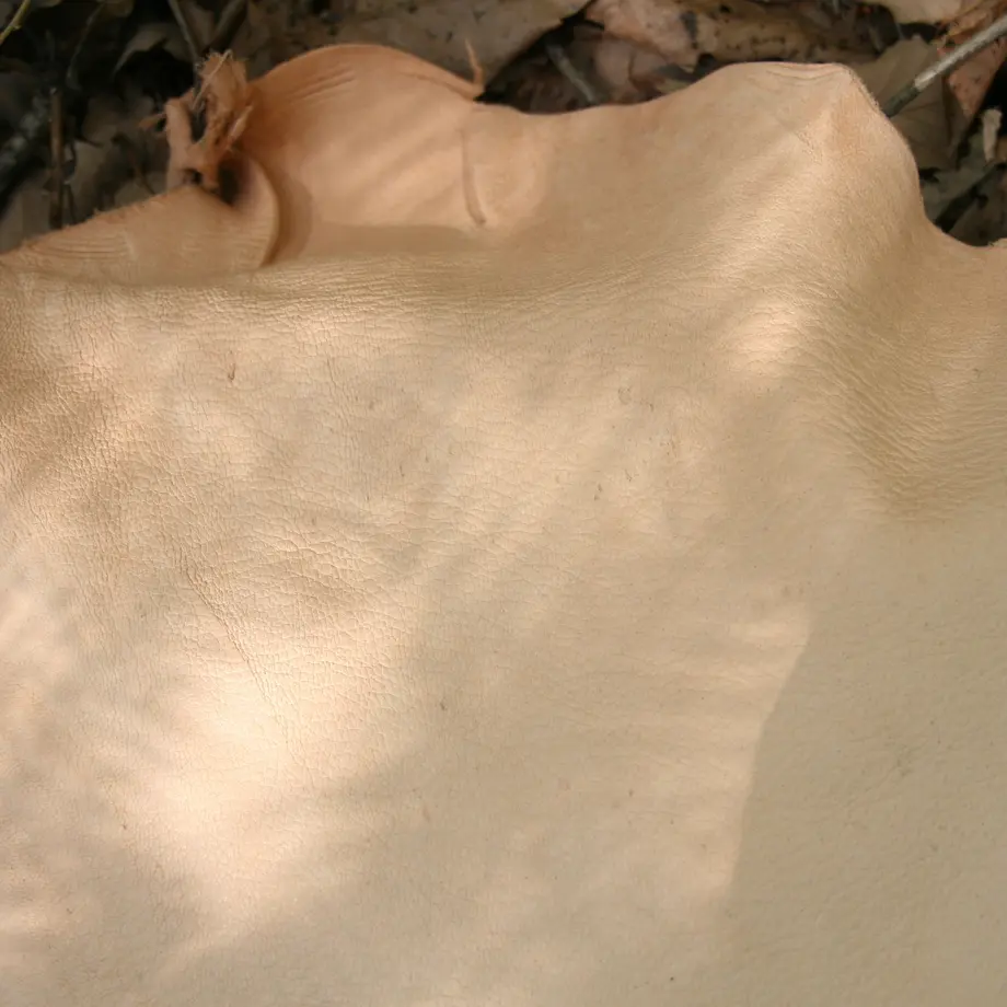5eaab82355fa037316d58270