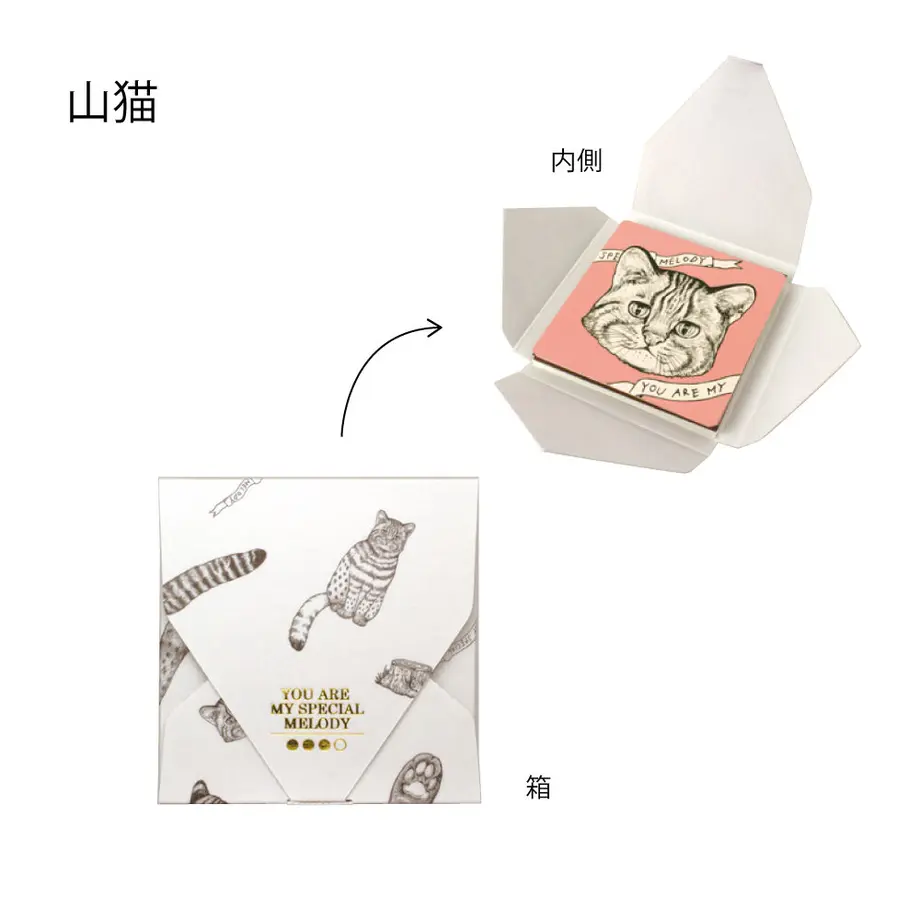 5fe5549ab00aa3180dee1952