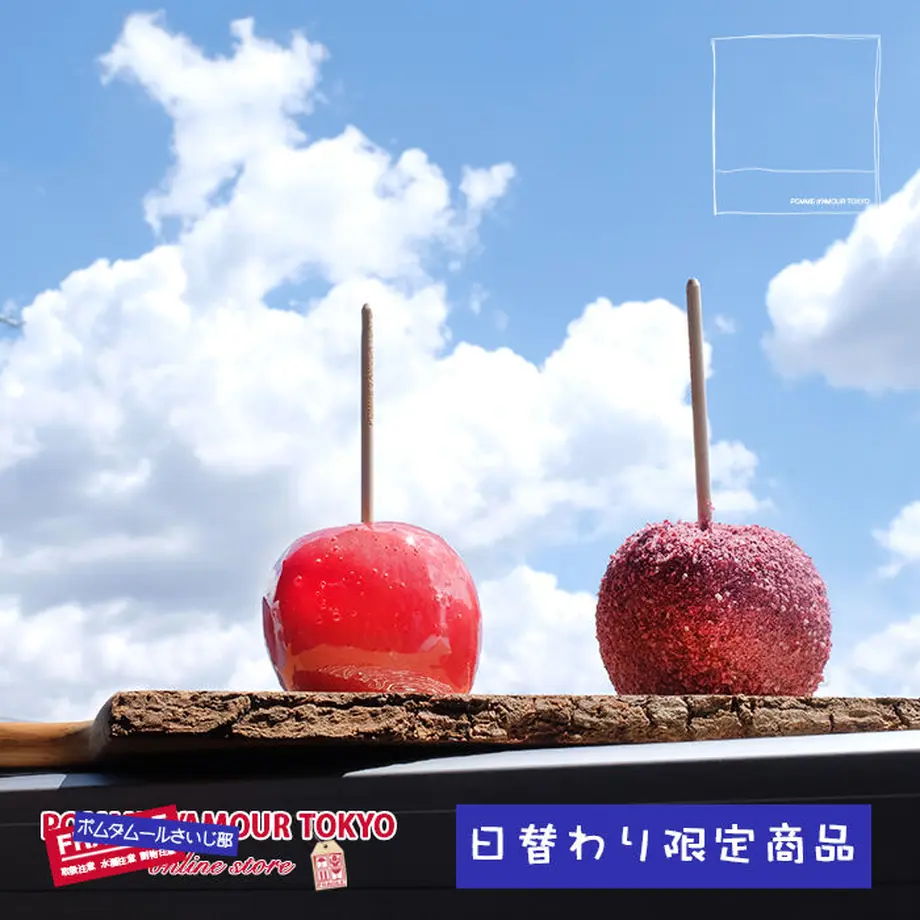 608cb60ff3c5e75a0a400555