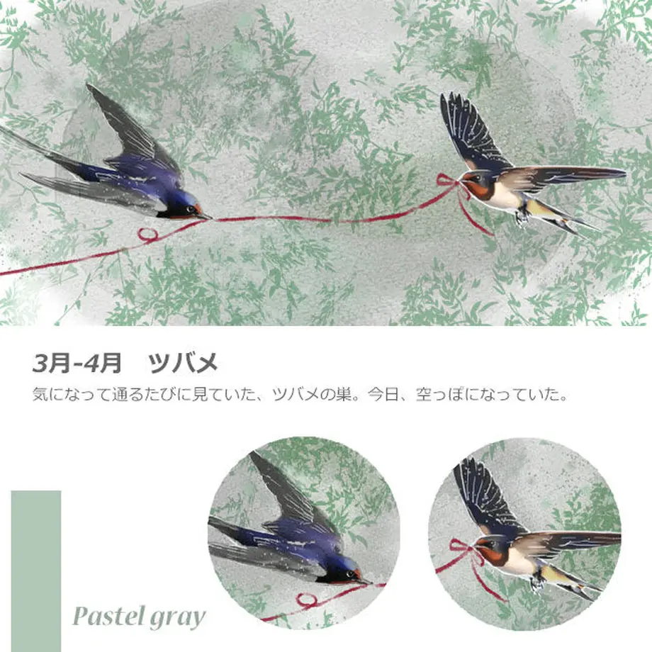 622ef8a32b2d3d246b18080b
