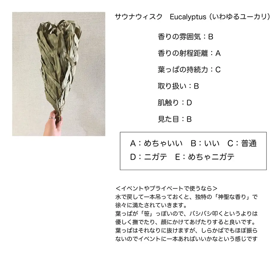 5eb6537255fa036ea063597a