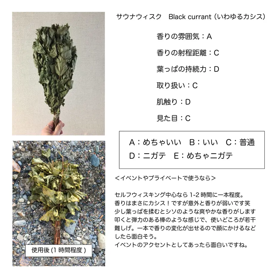 5eb6537255fa036ea063597a