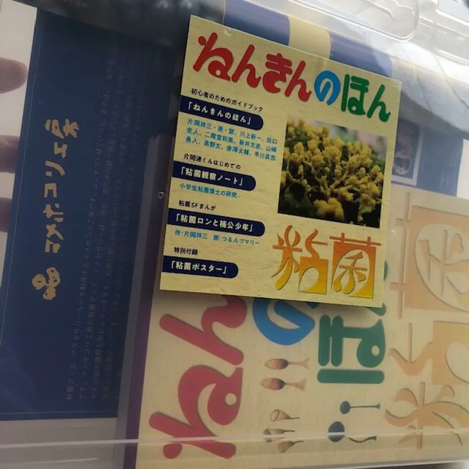 6113c54af604a92447c2585e