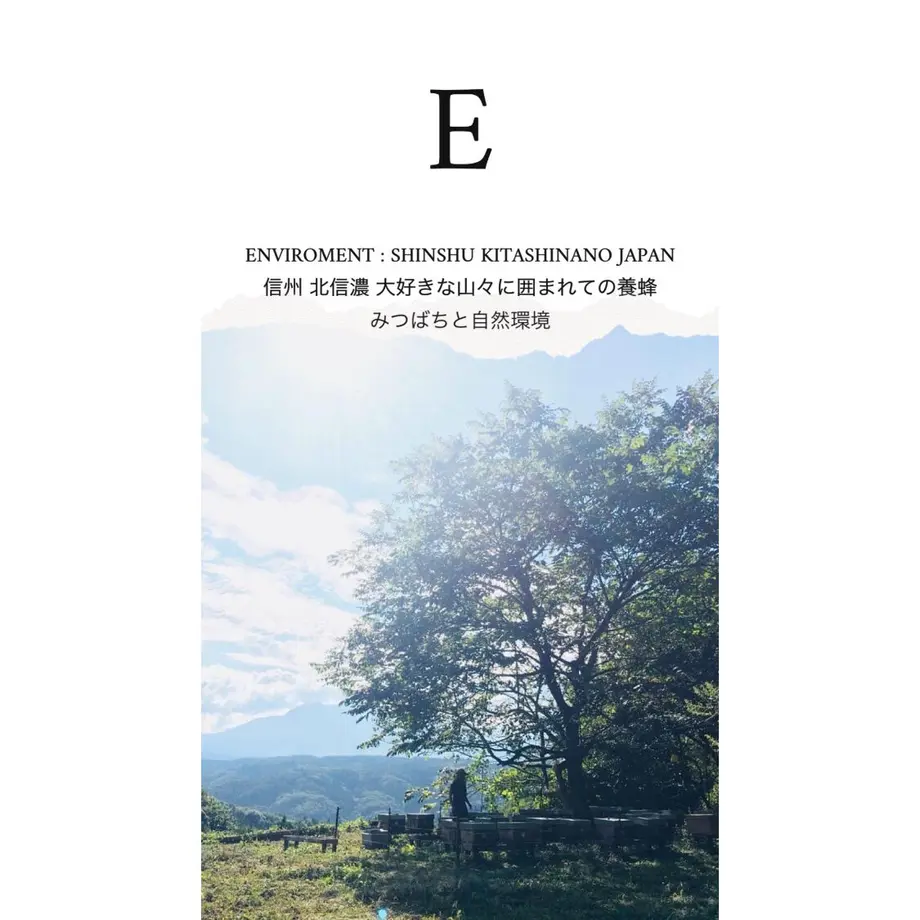621eb61165d2a31fac27506e