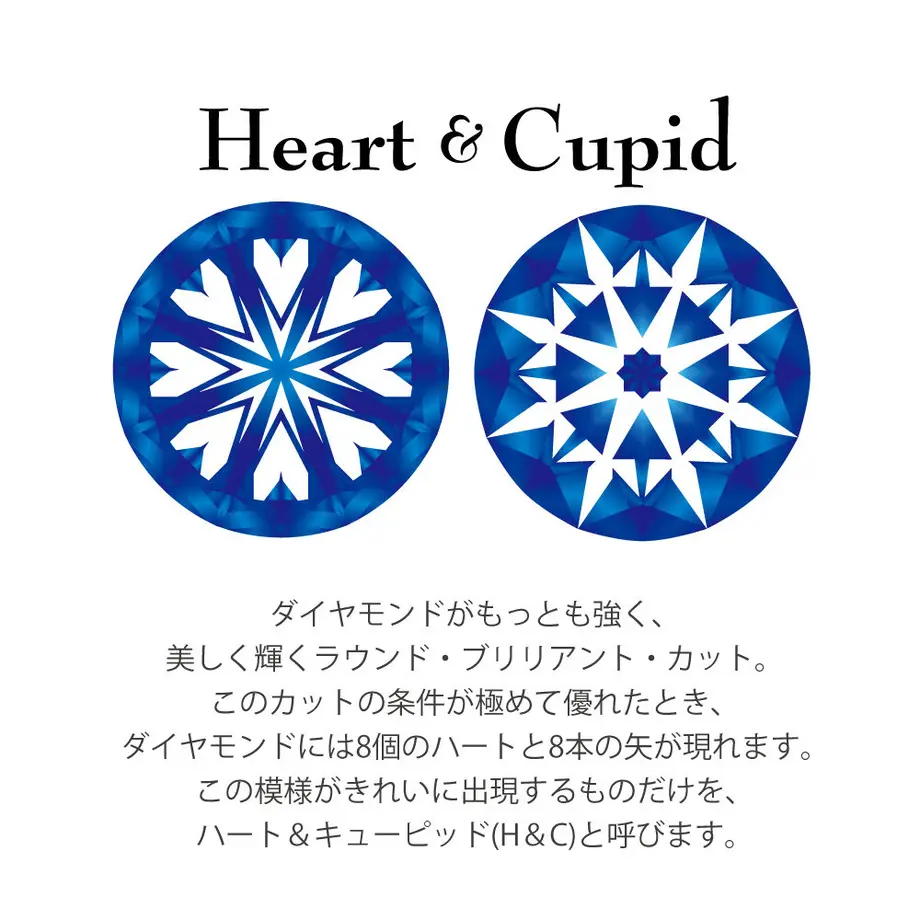 634cc4192e1f470001406d95