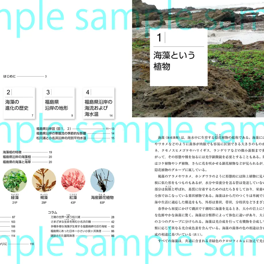61b6a5bc2ee5c274f74072ae