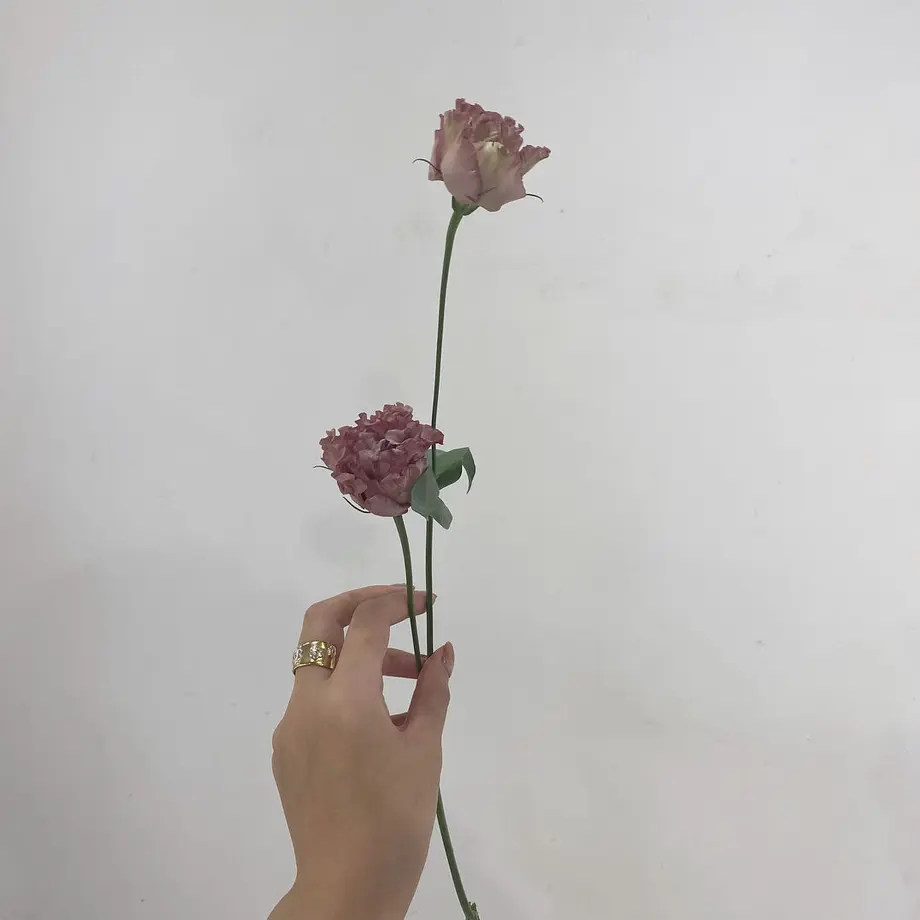 5f71cb08fbe5b55bce8a3140