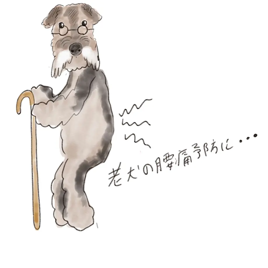 5d7a189cd0f2563f004d23a5