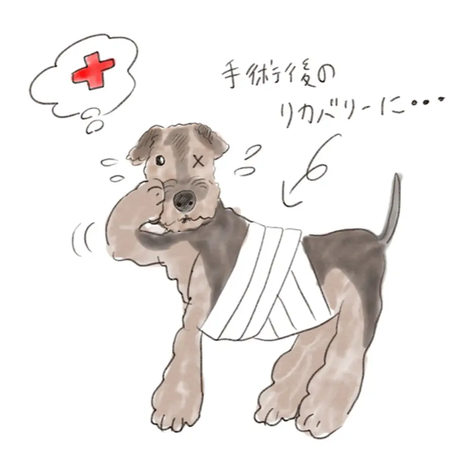 5d7a189cd0f2563f004d23a5