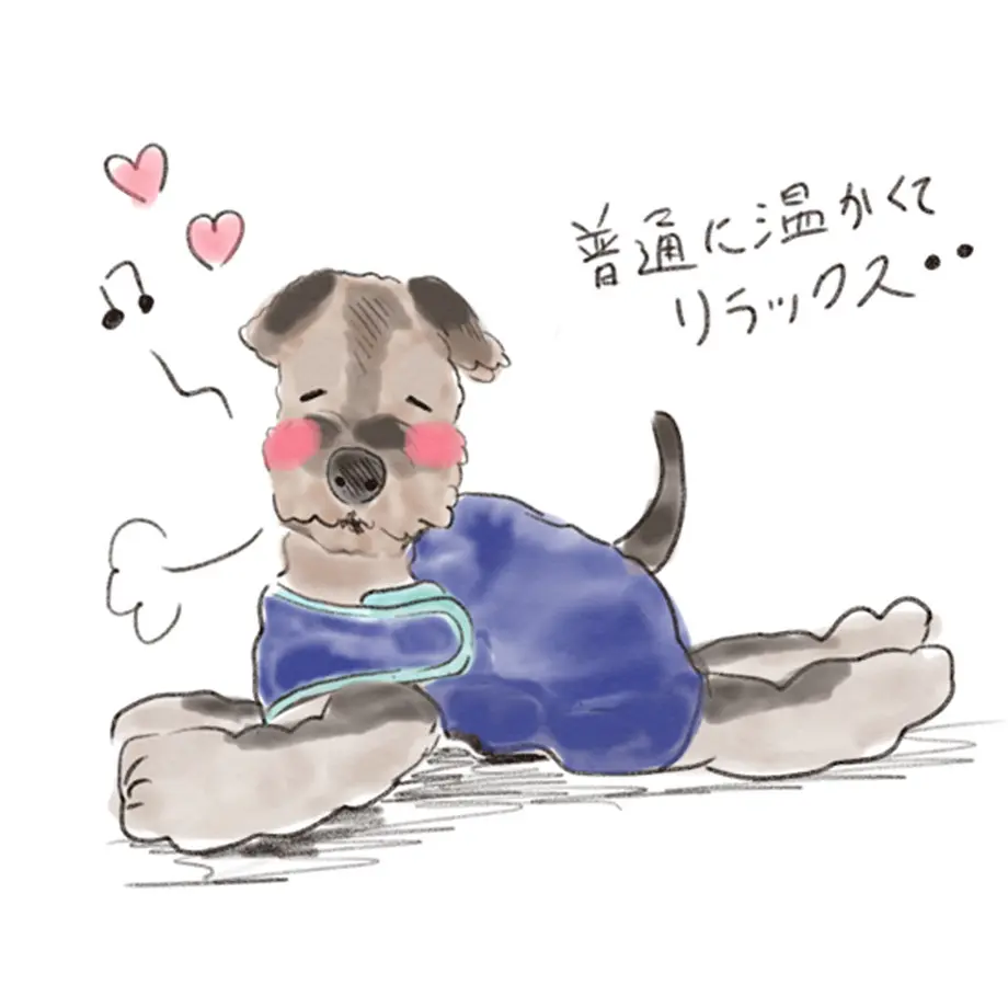 5d7a189cd0f2563f004d23a5