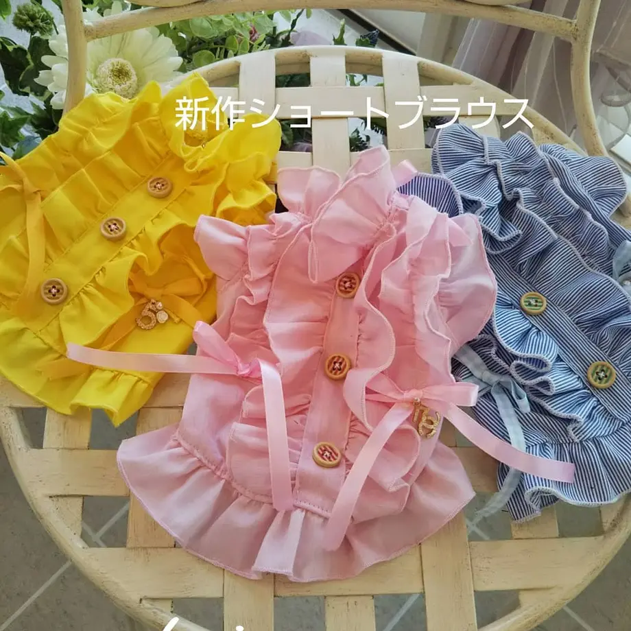 6062e1bed263f03ab1069783