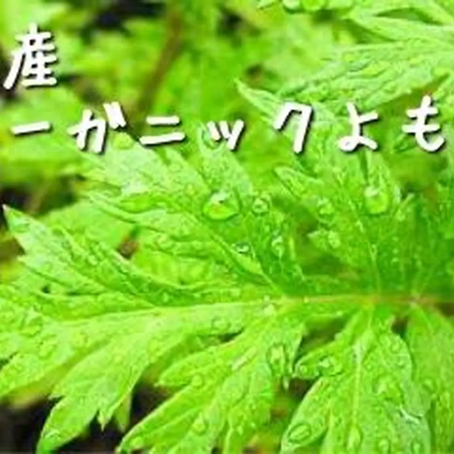 6010c11a243860401837d8cf