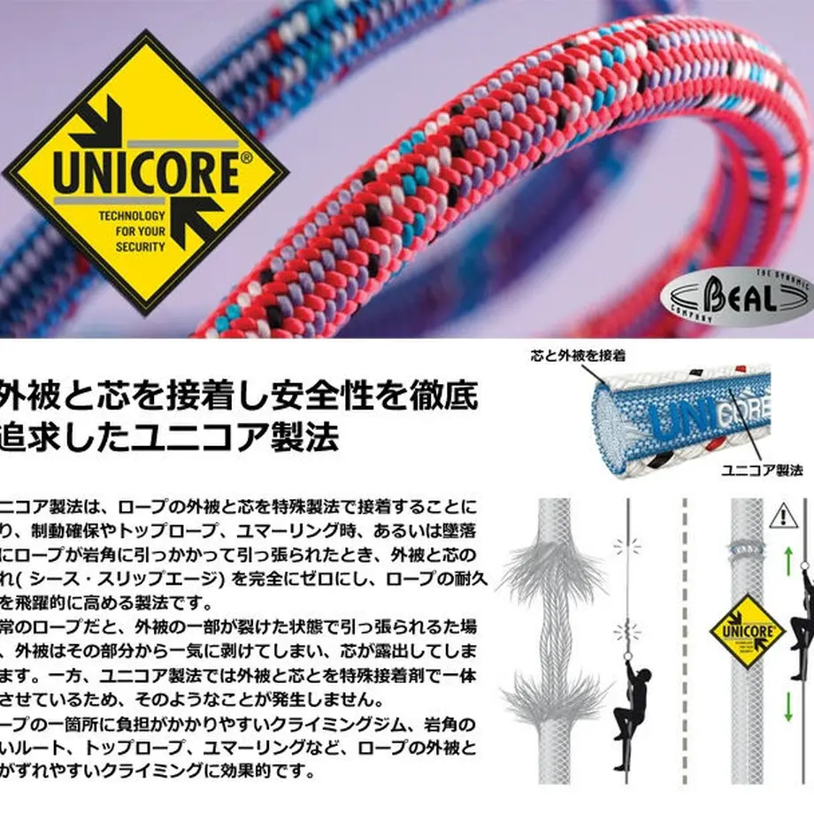 613c75e22305577f258cbb46