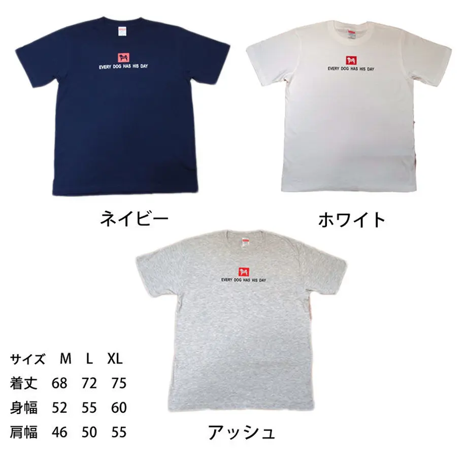 5ebb131055fa034a40ce41f9