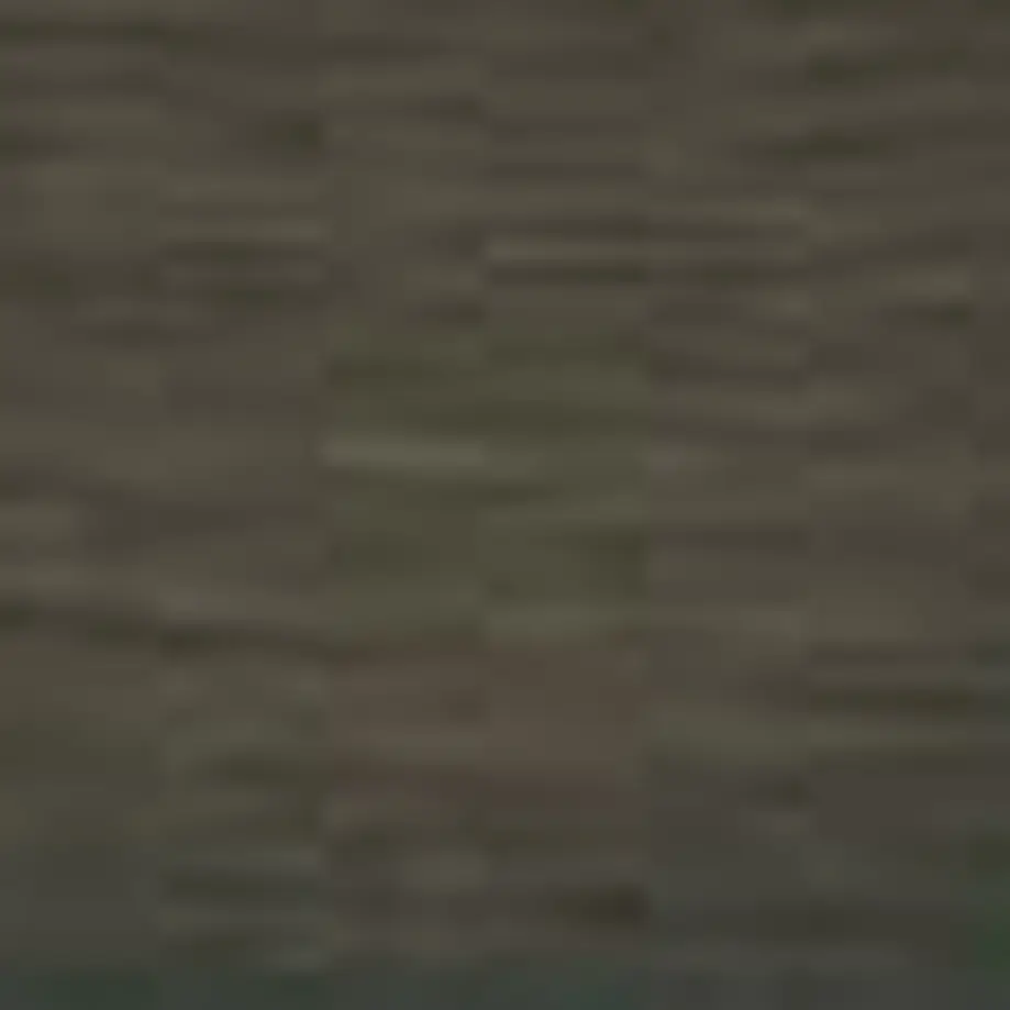 553893dfef3377006c002d3b