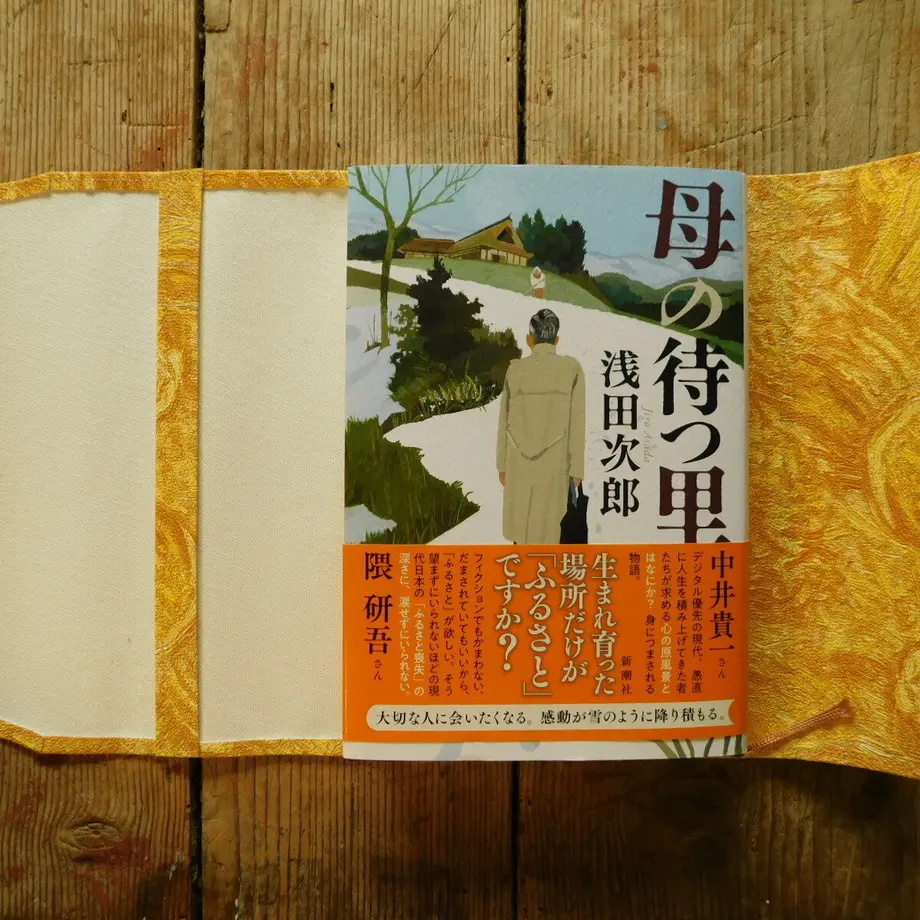 6231a168688c441386133896
