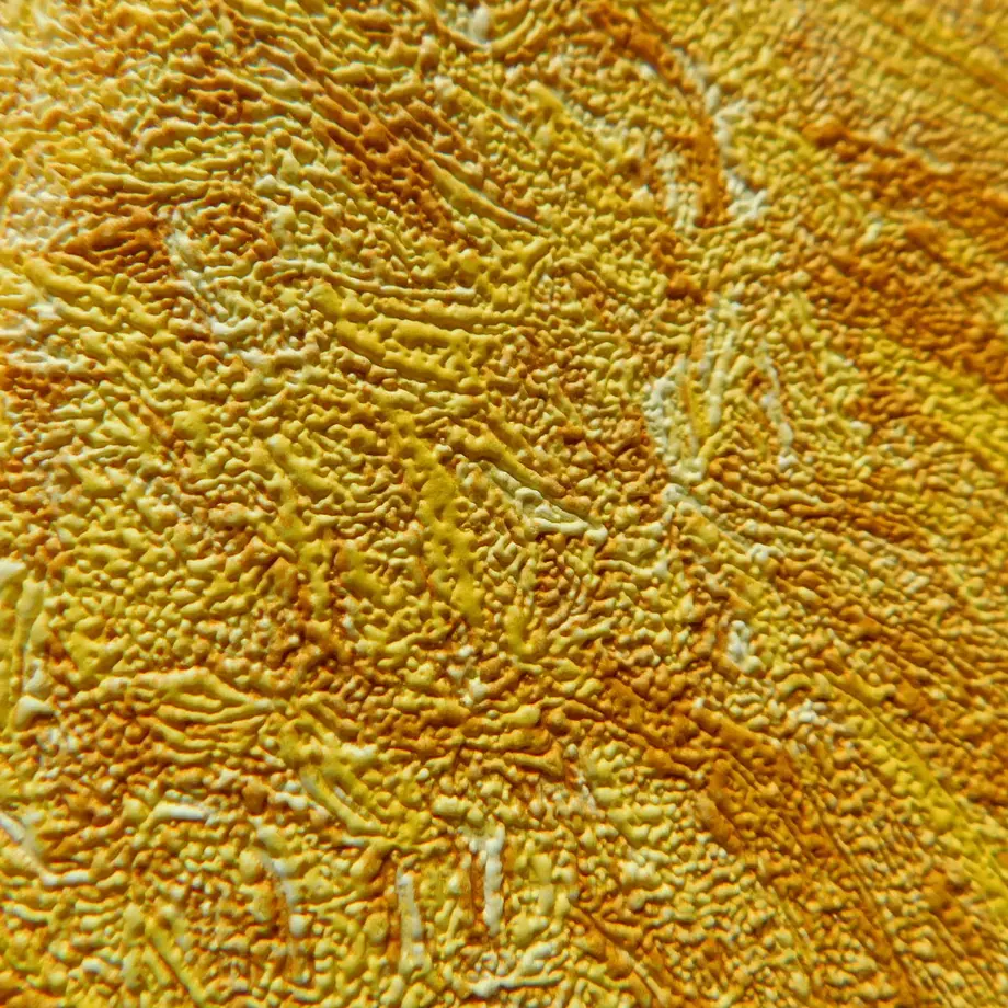 6231a168688c441386133896