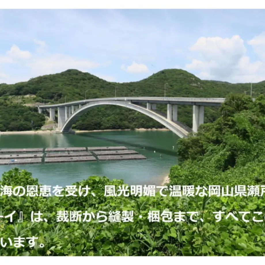5e5defc35d485c3b01243324