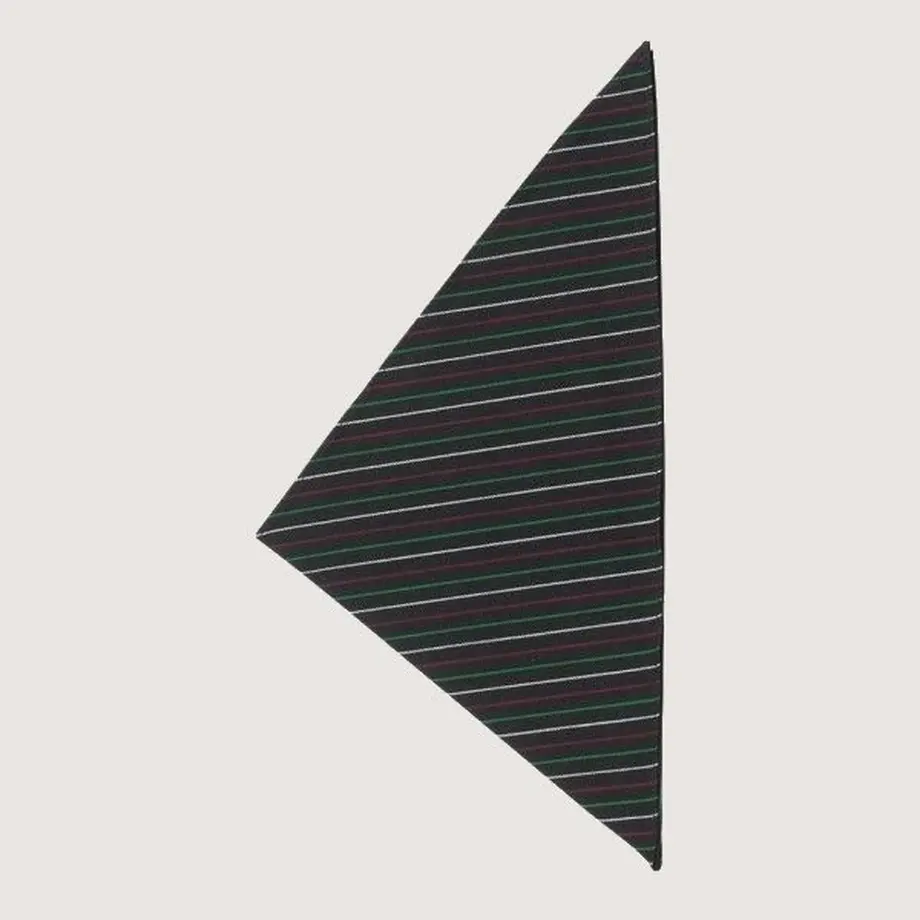 5d0108af5aa9382e1be1d0ff