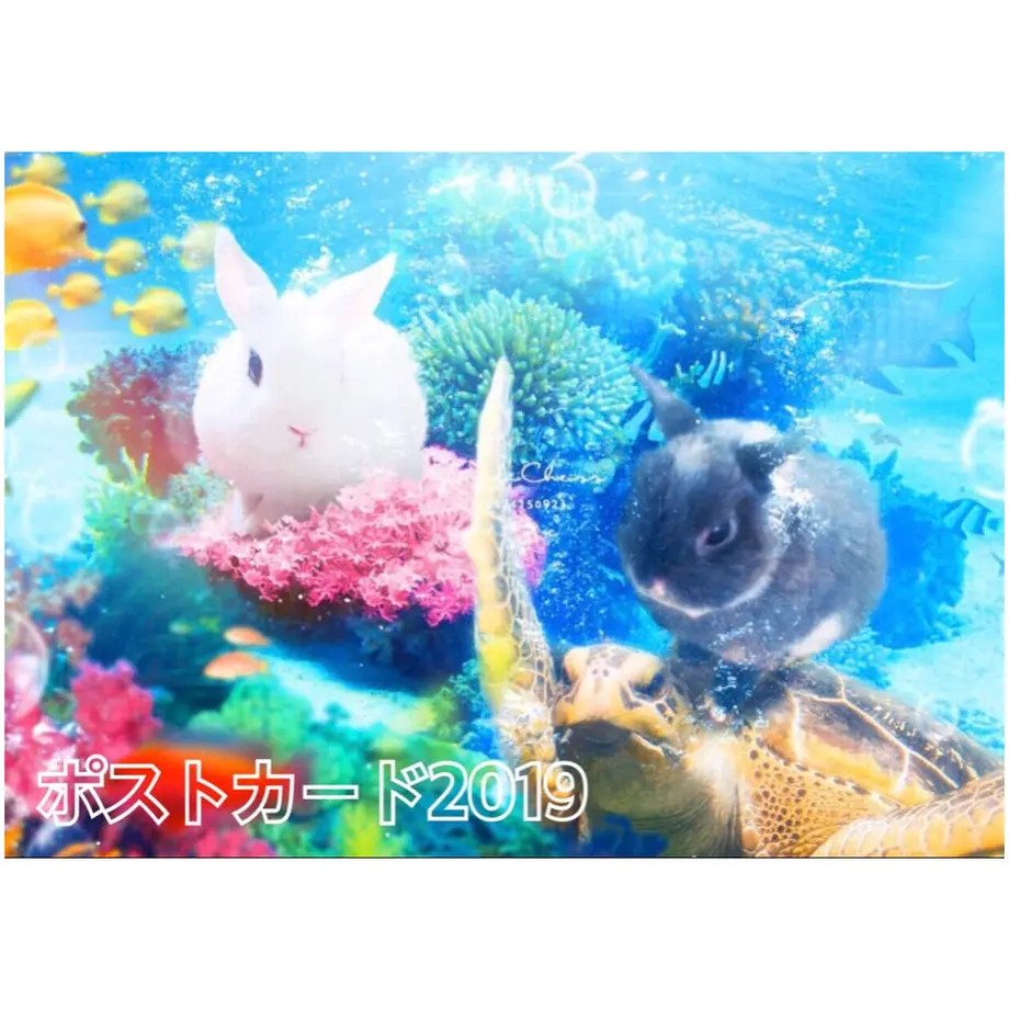 5f93d2c40eb24a56de946d6a