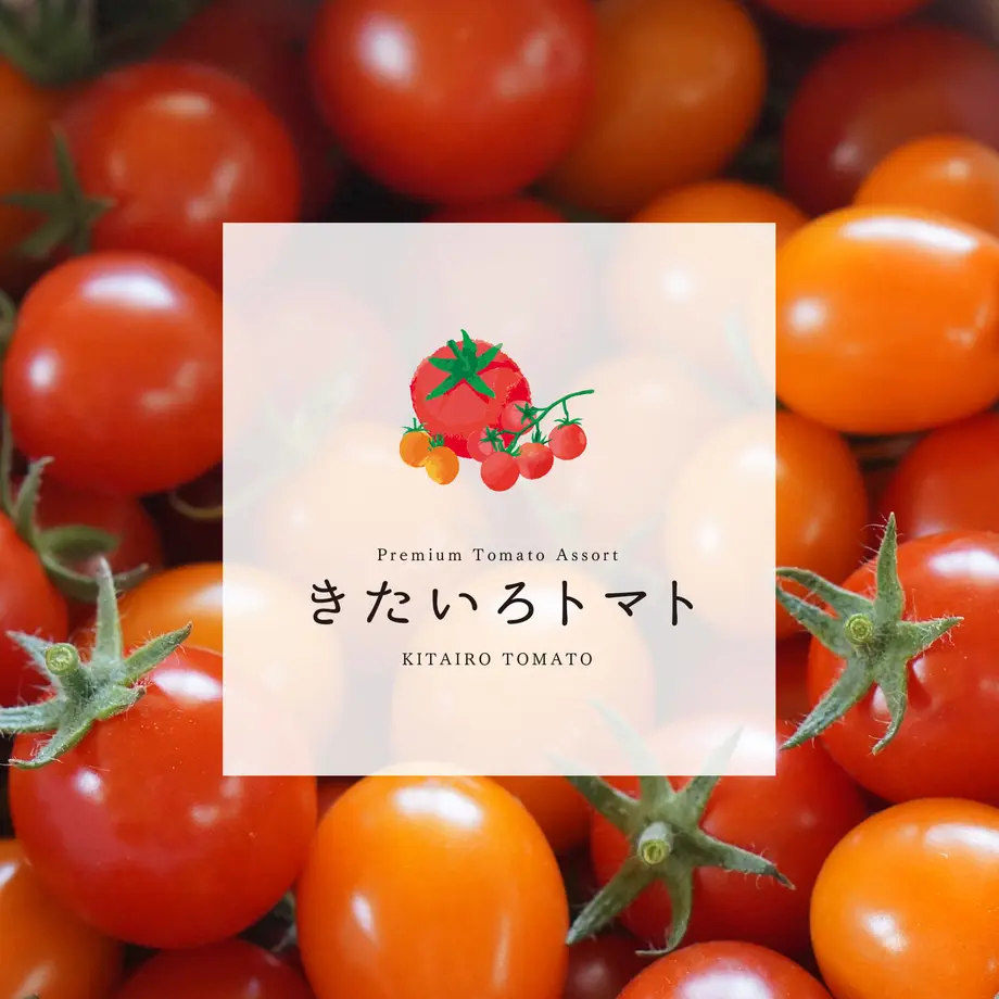 5f5d6704fbe5b5185b2dd948