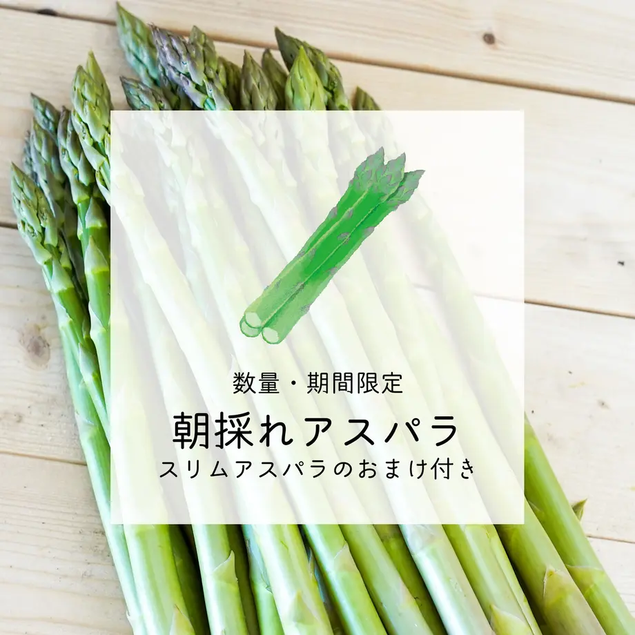 609b21c8f3c5e701b8781e97