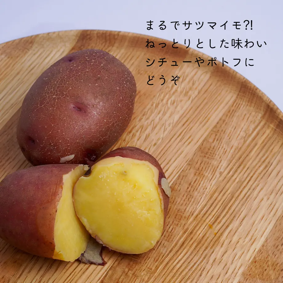 6162376c8c1a5b4d9452099a
