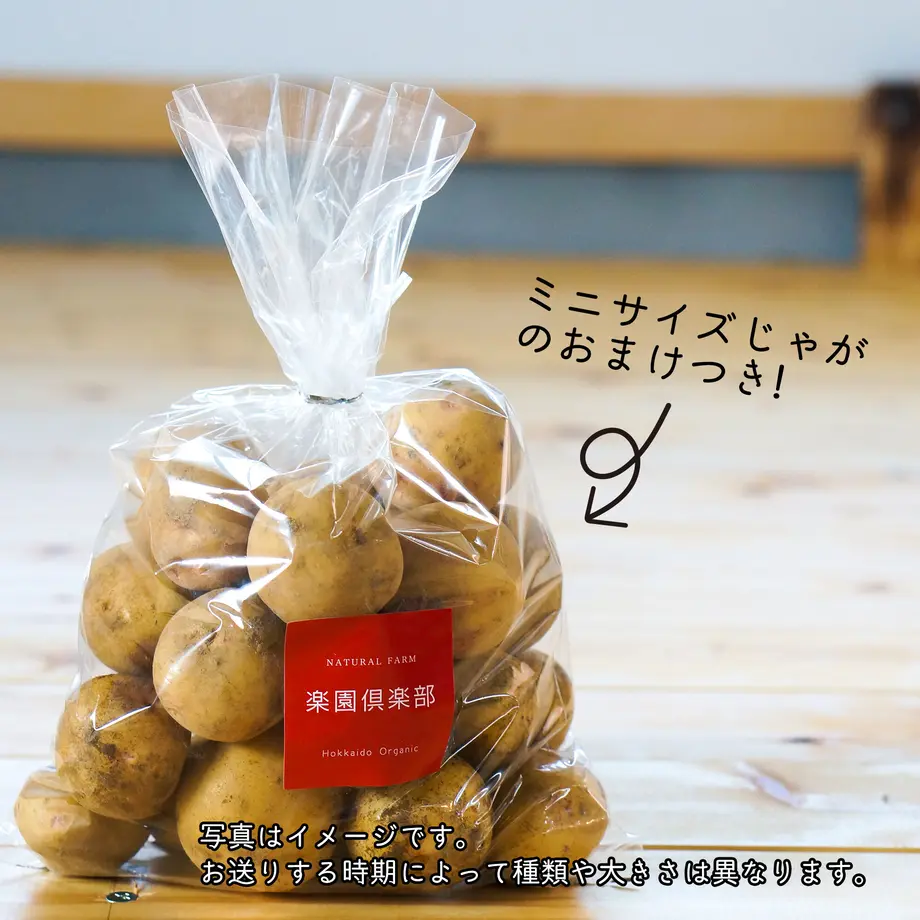 6343818b5976202502f45357