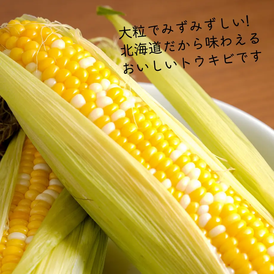 6113ddd92023975fc1315739