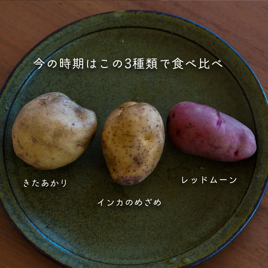 5f698e4593f61974ace69d4a