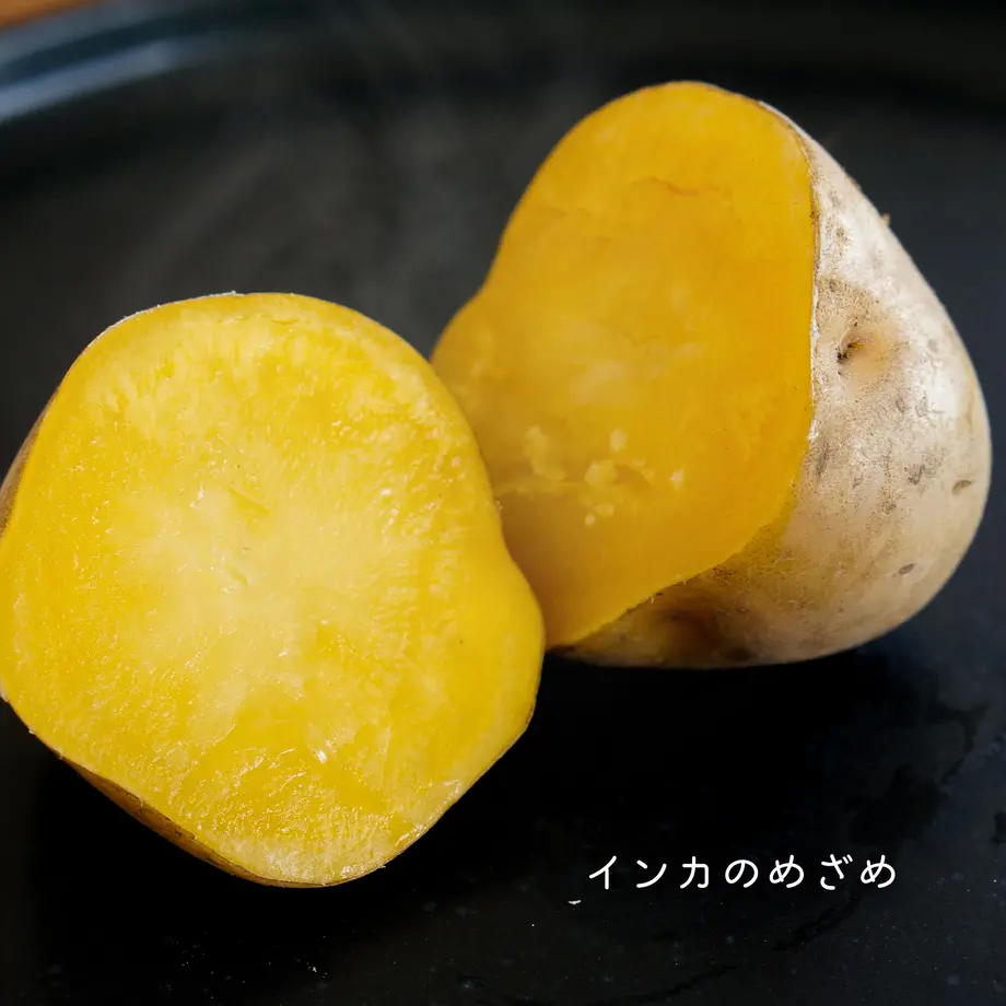 5f698e4593f61974ace69d4a