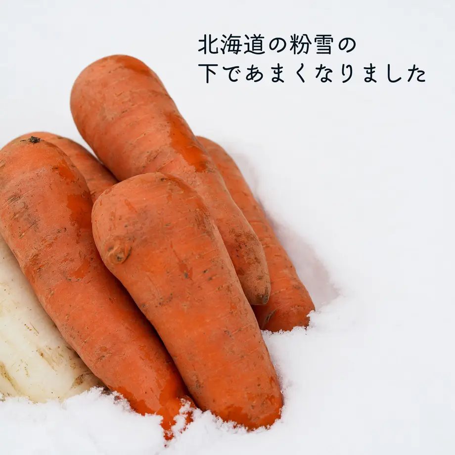 5ee9cf42d3f16769d46b3674