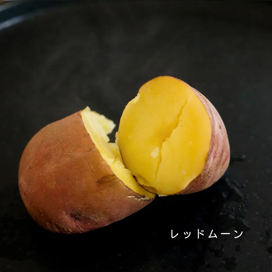 6162376c8c1a5b4d9452099a