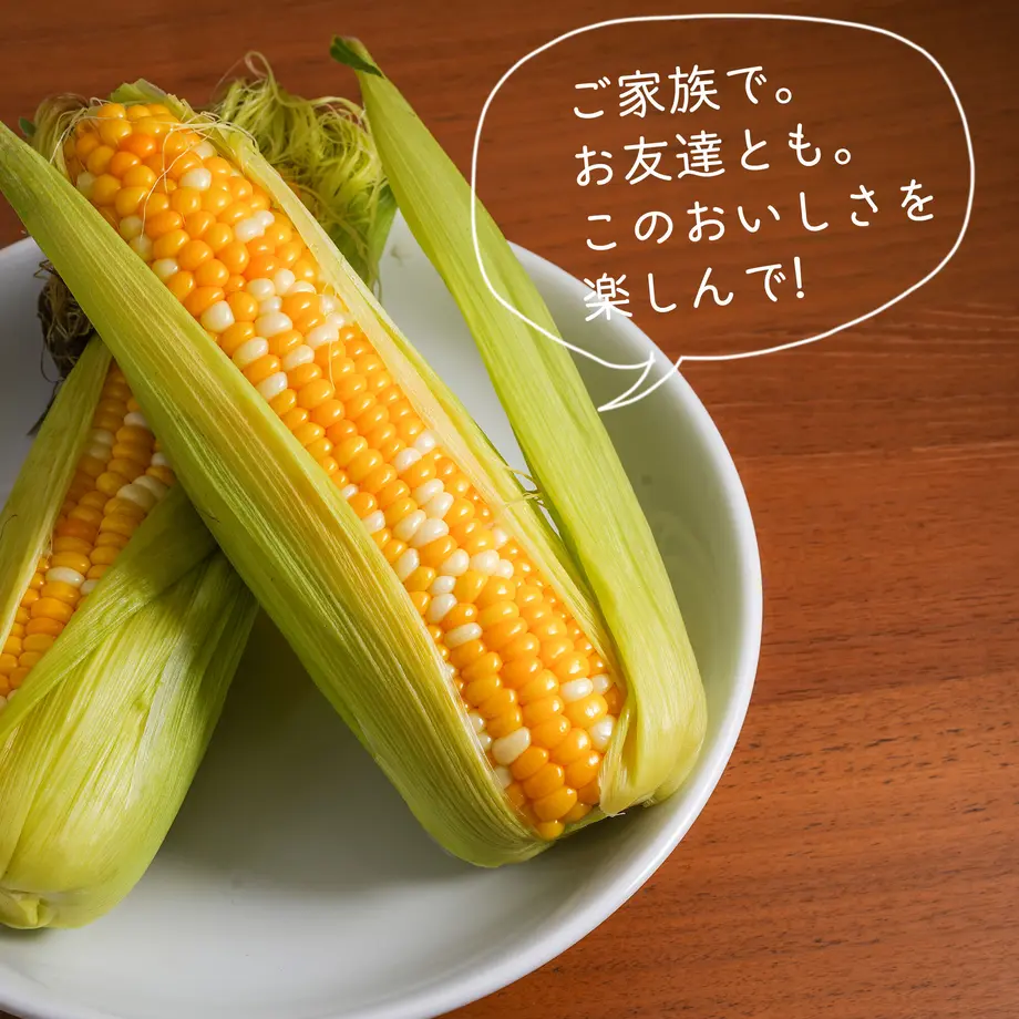 6113ddd92023975fc1315739