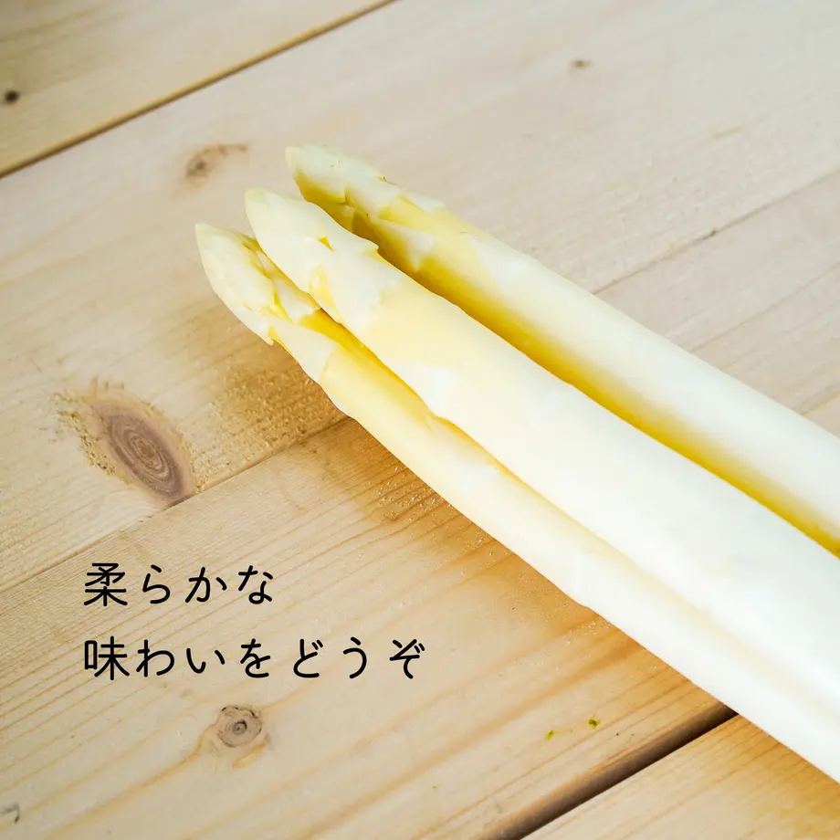 608f5b9fe70dc40c7bf01010