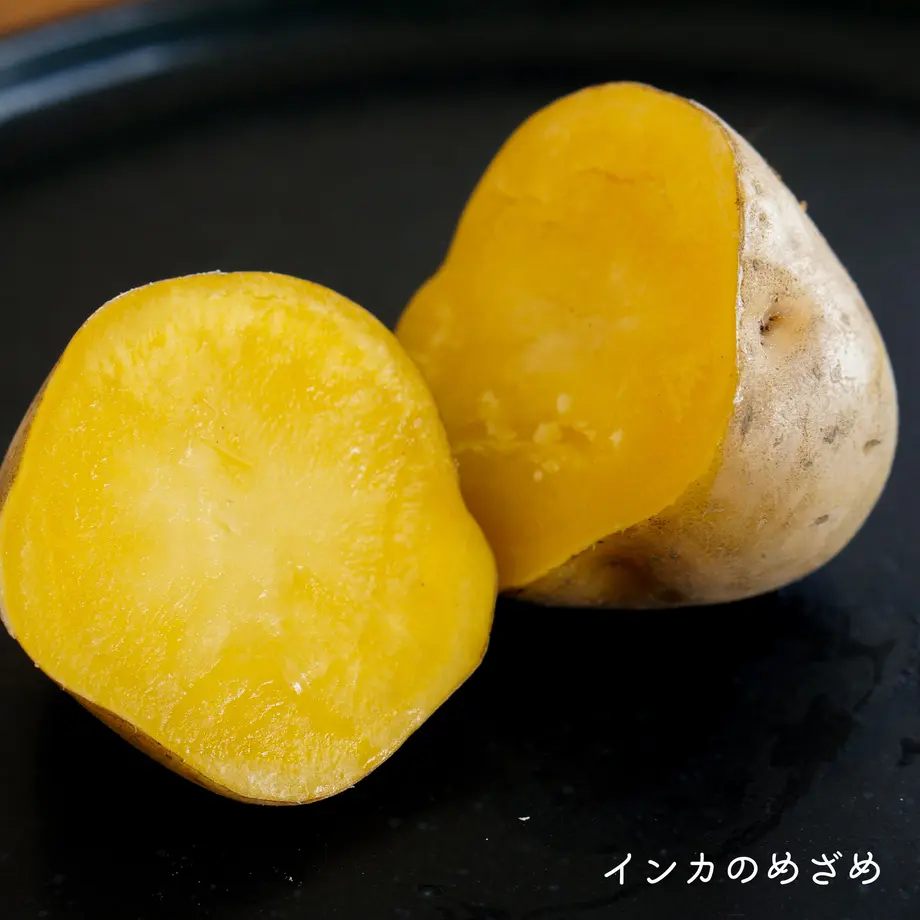 6343821ef80f1e645ca3d312