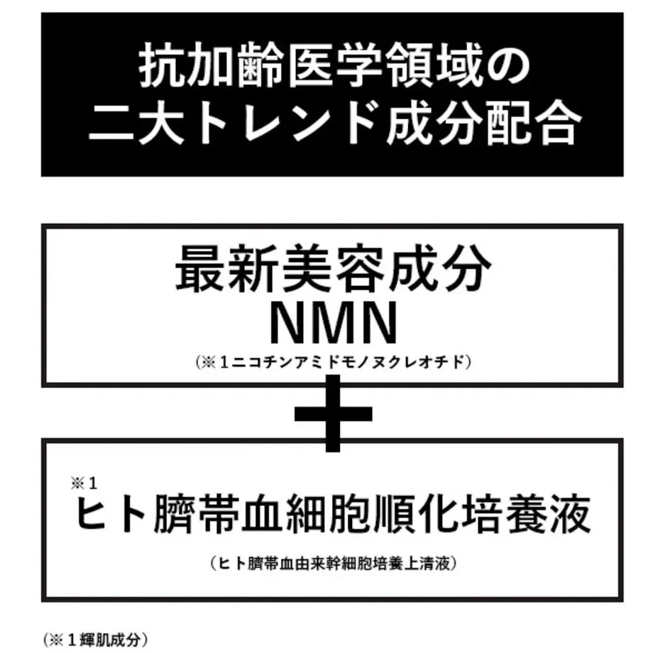 6254cb222023976f12d4f2a4