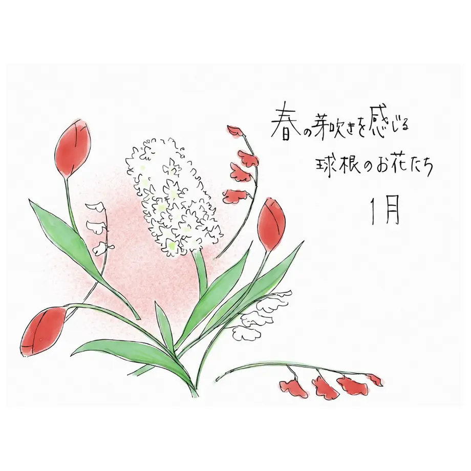 5fd06d35f0b10808c6045946